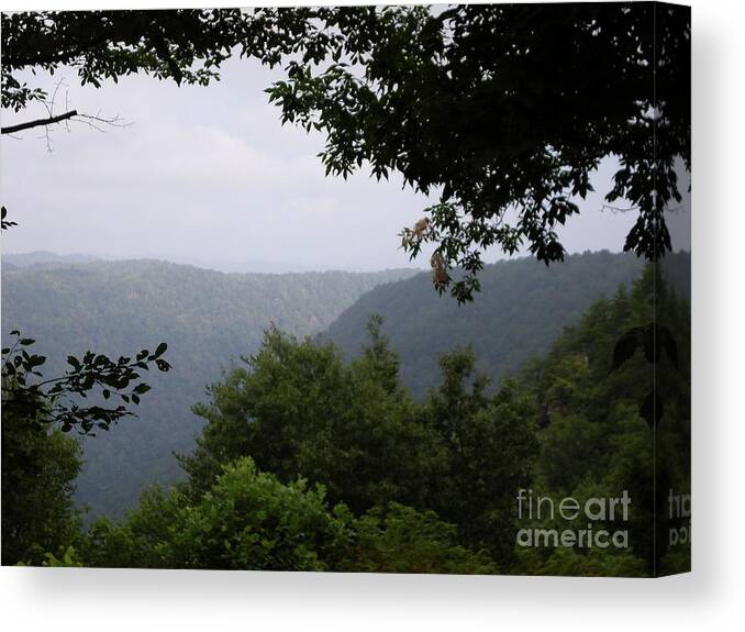 Forest Photography Canvas Print featuring the photograph Rolling Hills of West Virginia by Expressions By Stephanie