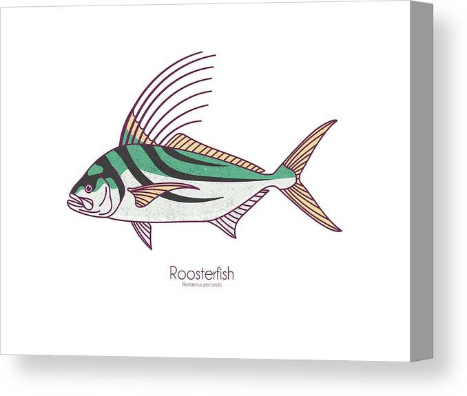 Roosterfsh Canvas Print featuring the digital art Roosterfish by Kevin Putman