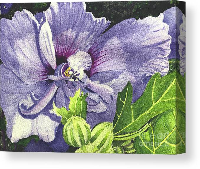 Rose Canvas Print featuring the painting Rose of Sharon by Bonnie Young