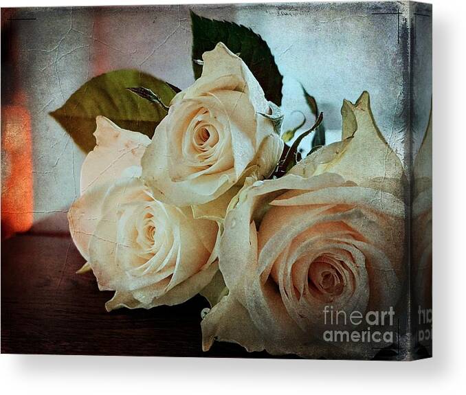 Roses Canvas Print featuring the photograph Roses by Claudia Zahnd-Prezioso