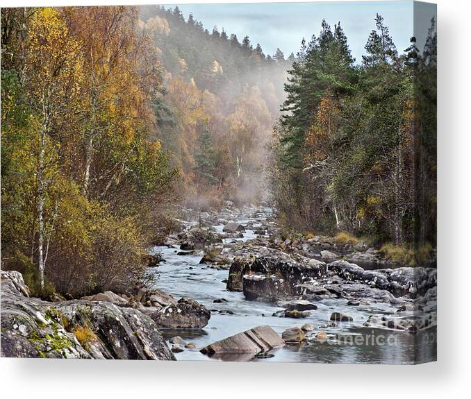 Fog Beauty Over River Scottish Golden Autumn Stones Boulders Cobbles Gravel Pebble Rocks Scree Birches Yellow Green Woods Forest Nature Elements Landscape View Scenery Water Flow Beautiful Delightful Pretty Calm Restful Relaxing Relaxation Serenity Atmospheric Aesthetic Mindfulness Magnificent Powerful Stunning Walking Art Artistic Painterly Imaginable Beauty Fresh Untouched Nobody Solitary Delicate Gentle Scotland River Scottish Highlands Uk Impression Expressive Misty Fall Vista Smart River Canvas Print featuring the photograph Fog Beauty Over River Scottish Golden Autumn by Tatiana Bogracheva