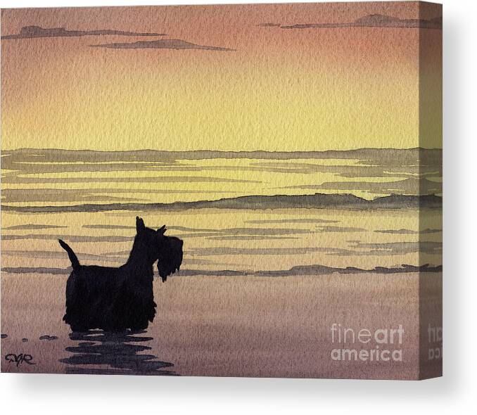 Scottish Terrier Canvas Print featuring the painting Scottish Terrier Sunset by David Rogers