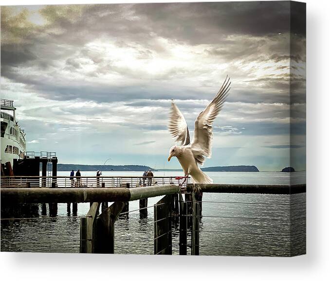 Seabird Canvas Print featuring the photograph Seagull's landing by Anamar Pictures