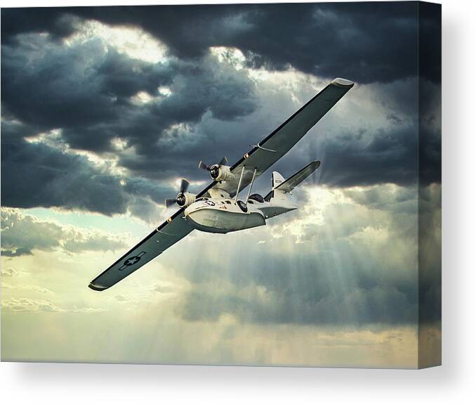 Catalina Canvas Print featuring the photograph Searching by Martyn Boyd