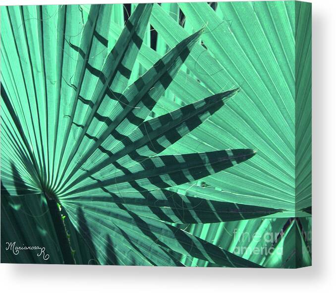 Nature Canvas Print featuring the photograph Shadows on Palm Leaves by Mariarosa Rockefeller