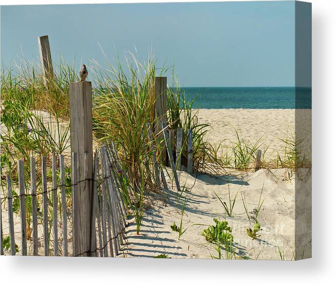 Singer At The Shore Ll Canvas Print featuring the photograph Singer at the Shore ll by Michelle Constantine