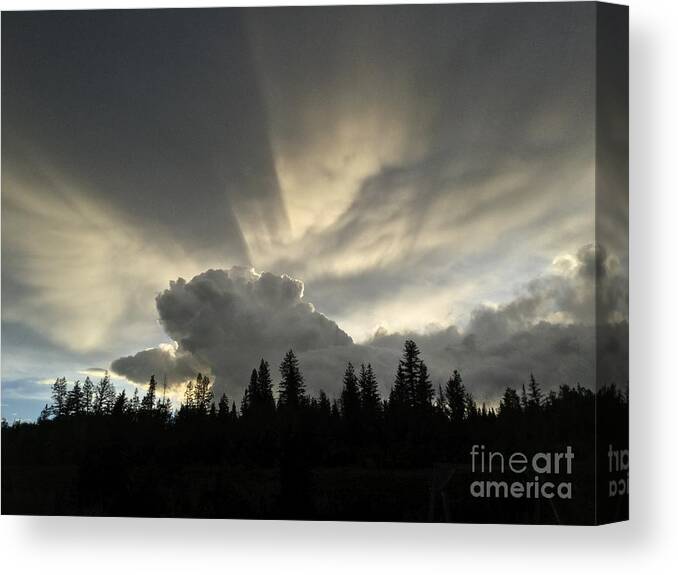 Chilcotin Plateau Canvas Print featuring the photograph Sky light by Nicola Finch