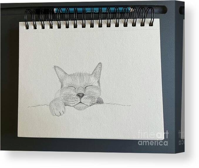  Canvas Print featuring the drawing Sleeping Face Sketch by Donna Mibus