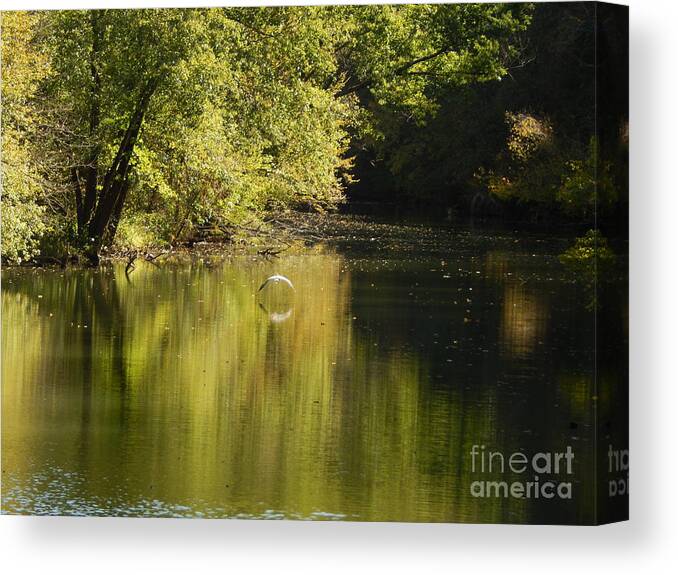 Outdoors Canvas Print featuring the photograph Snow White Egret by Chris Tarpening