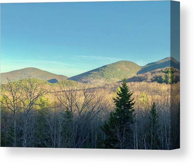 Mountain Canvas Print featuring the photograph Solitude by Lisa Pearlman