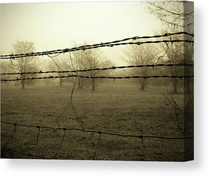 Farm Canvas Print featuring the photograph Somber Pasture by Lens Art Photography By Larry Trager