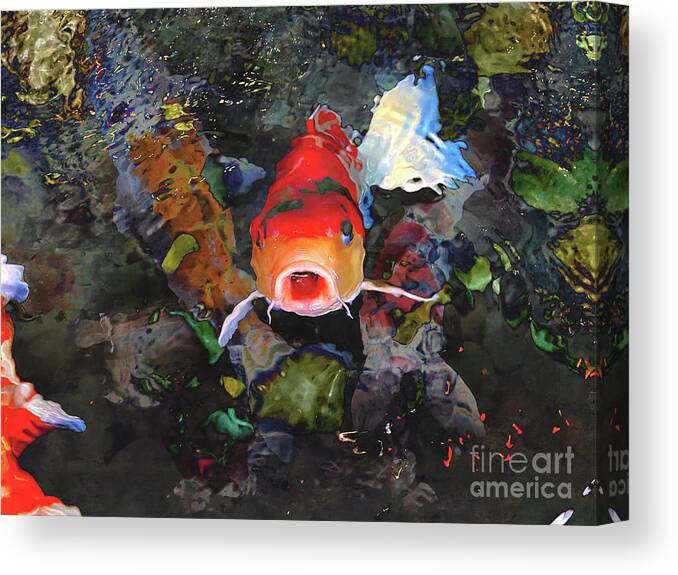 Fish Canvas Print featuring the photograph Somethings Fishy by Katherine Erickson