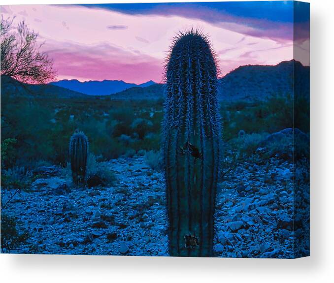 Arizona Canvas Print featuring the photograph Sonoran Desert Nightfall by Judy Kennedy