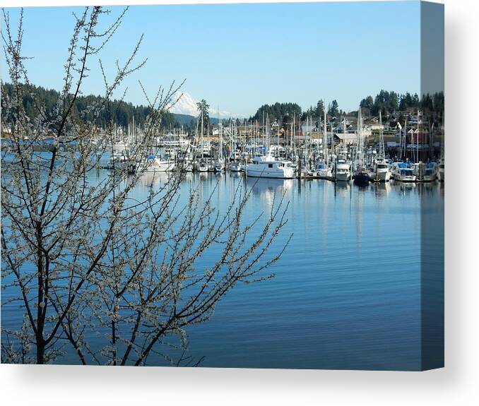 Harbor Canvas Print featuring the photograph Spring in Gig Harbor by Bill TALICH