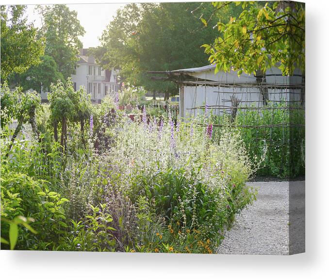 Colonial Williamsburg Canvas Print featuring the photograph Spring Morning Garden by Rachel Morrison