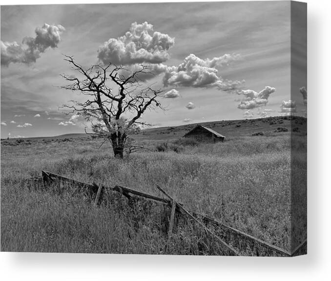Tree Canvas Print featuring the photograph Summer Storm Clouds by Jerry Abbott