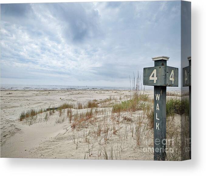 Beach Canvas Print featuring the photograph The Beach is 4 Walking by Robert Knight