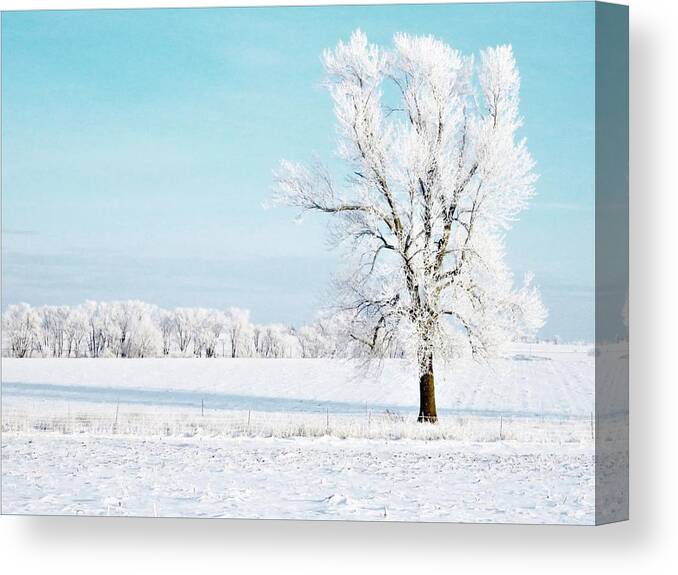 Trees Canvas Print featuring the photograph The Beauty of Winter by Lori Frisch