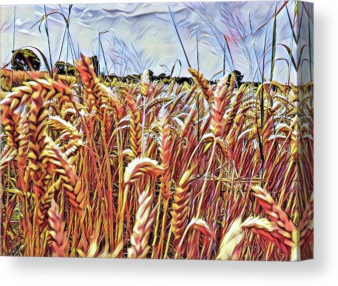 Yellow Canvas Print featuring the mixed media The golden fields by Don Ravi