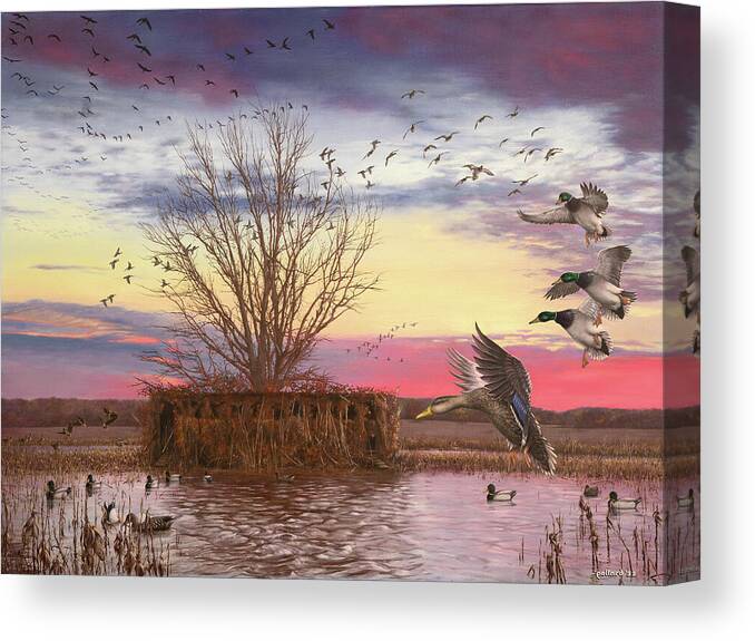 Mallards Canvas Print featuring the painting The Oak Tree by Glenn Pollard