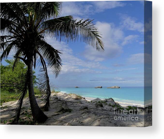 Exuma Cays Canvas Print featuring the photograph Three Sisters Beach Shoreline by On da Raks