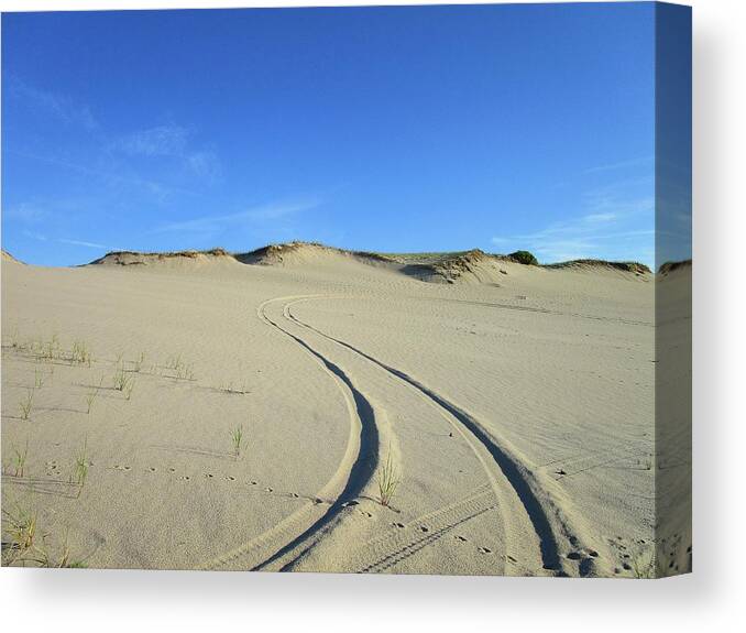 Sand Dunes Canvas Print featuring the photograph Tracks on the Dunes by Annalisa Rivera-Franz