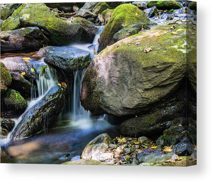 Water Canvas Print featuring the photograph Tranquility by Brian Shoemaker