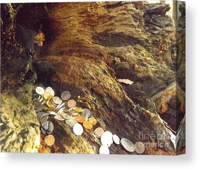 Old Coins Canvas Print featuring the photograph Treasure Bark 5 by Denise Morgan