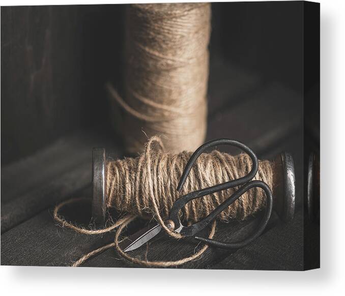 Twine Canvas Print featuring the photograph Twine by Lori Rowland