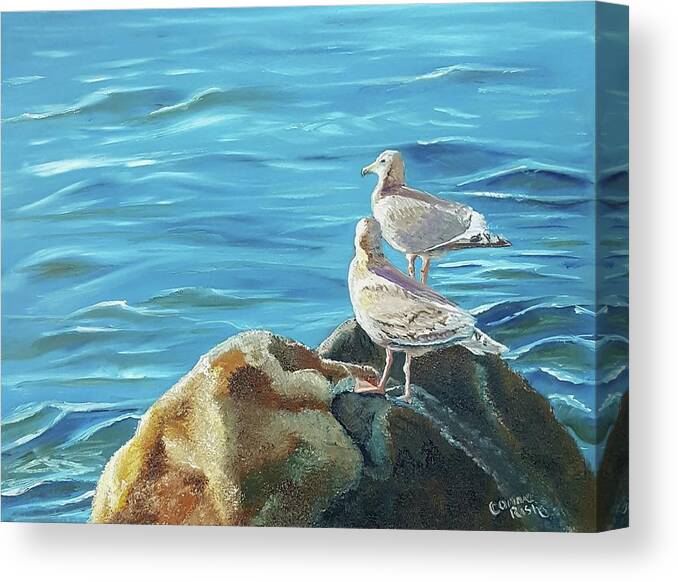 Seagulls Canvas Print featuring the painting Two for the View by Connie Rish