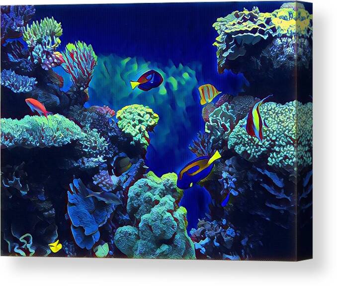 Under The Sea Canvas Print featuring the photograph Under the Sea by Juliette Becker