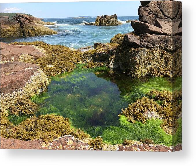 Ocean Canvas Print featuring the photograph Wading Pool by Lee Darnell