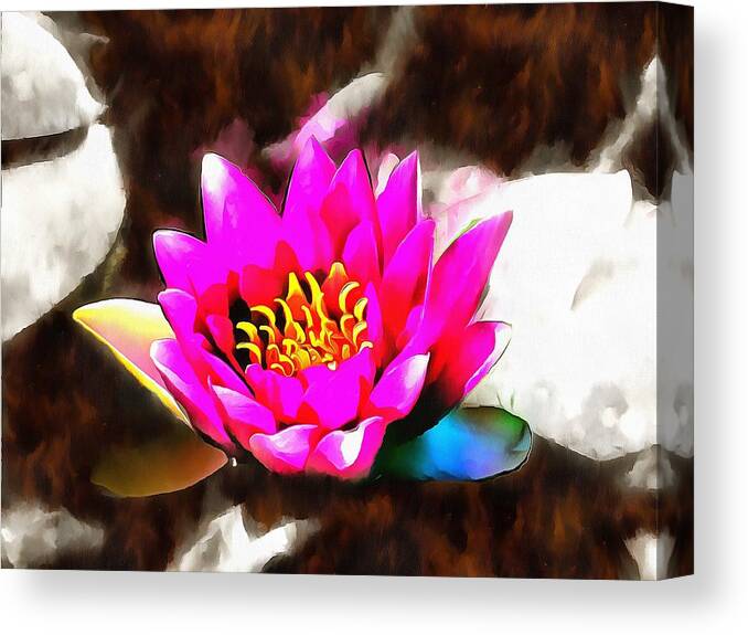Water Lily Canvas Print featuring the mixed media Water Lily by Christopher Reed