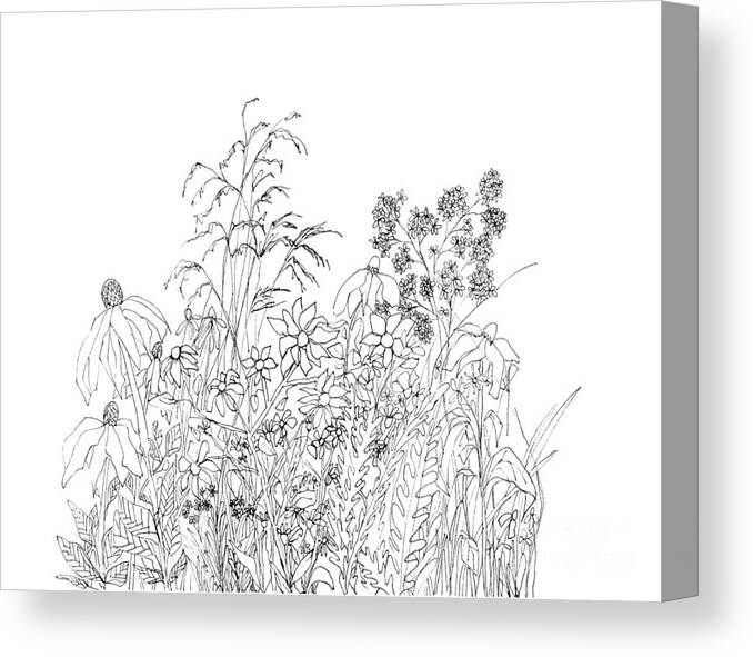 Wild Flowers Canvas Print featuring the drawing Wild Flowers - Ink Drawing by Patricia Awapara