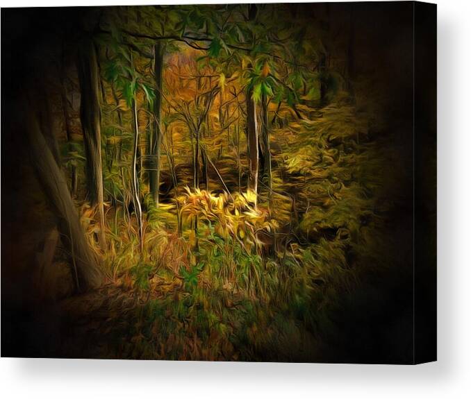 Forest Canvas Print featuring the photograph Window into the Forest by Christopher Reed