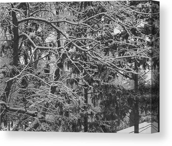 Winter Canvas Print featuring the photograph Winter 3 by Jeffrey Peterson