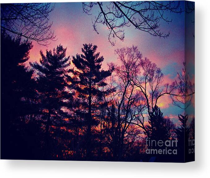 Nature Canvas Print featuring the photograph Winter Sunrise Through Silhouetted Pines by Frank J Casella
