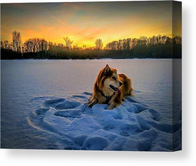  Canvas Print featuring the photograph Winter Sunset by Brad Nellis