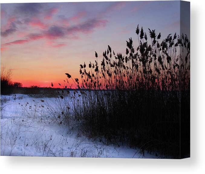 Winter Sunset Canvas Print featuring the photograph Winter Sunset on the Bay 2 by David T Wilkinson