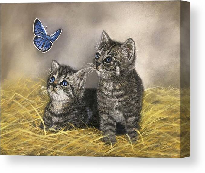 Kittens Canvas Print featuring the pastel Wonderment by Marlene Little