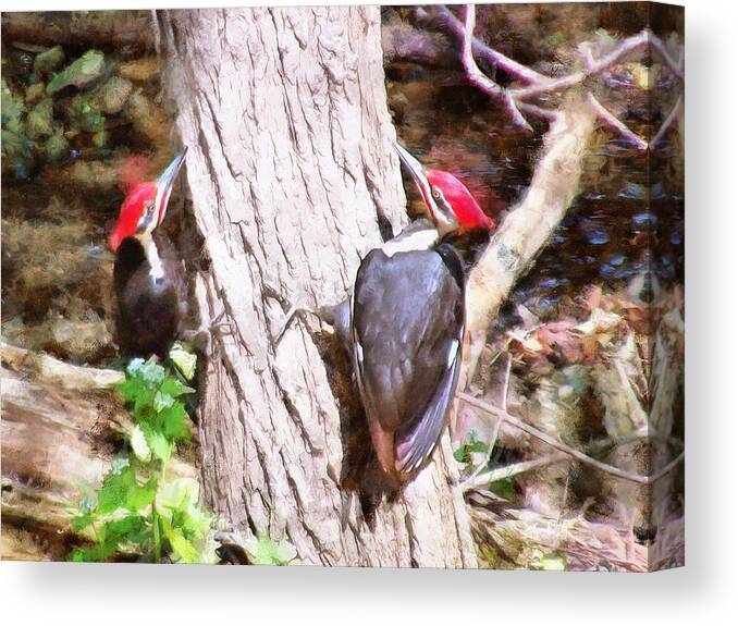 Woodpeckers Canvas Print featuring the mixed media Woodpeckers by the Stream by Christopher Reed