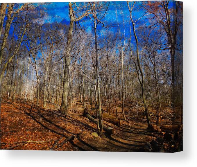 Woods Canvas Print featuring the digital art Woods with Deep Blue Sky by Russ Considine