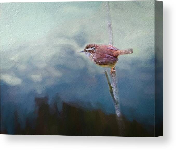 Texture Canvas Print featuring the photograph Wren on the Mountain by Marjorie Whitley