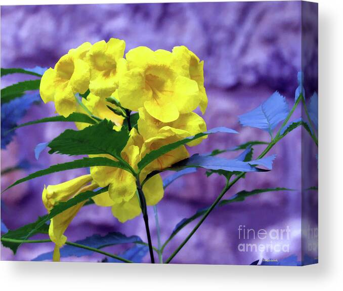 Yellow Flower Canvas Print featuring the photograph Yellow Flower by Roberta Byram