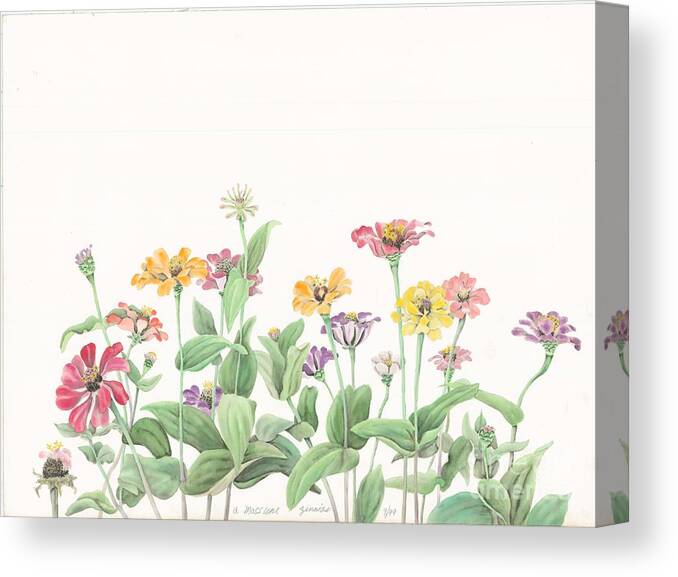 Flowers Canvas Print featuring the painting Zinnias by Albert Massimi