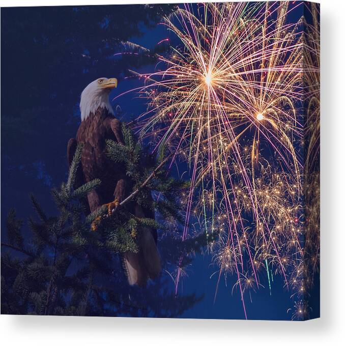 Fireworks Canvas Print featuring the photograph American Pride #1 by Angie Vogel