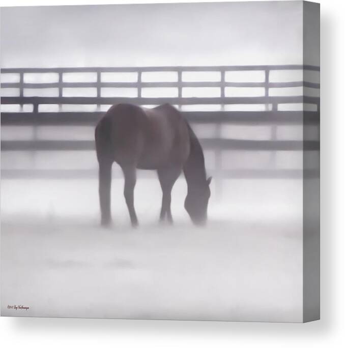 Fog Canvas Print featuring the photograph Foggy Morning by Lucy VanSwearingen
