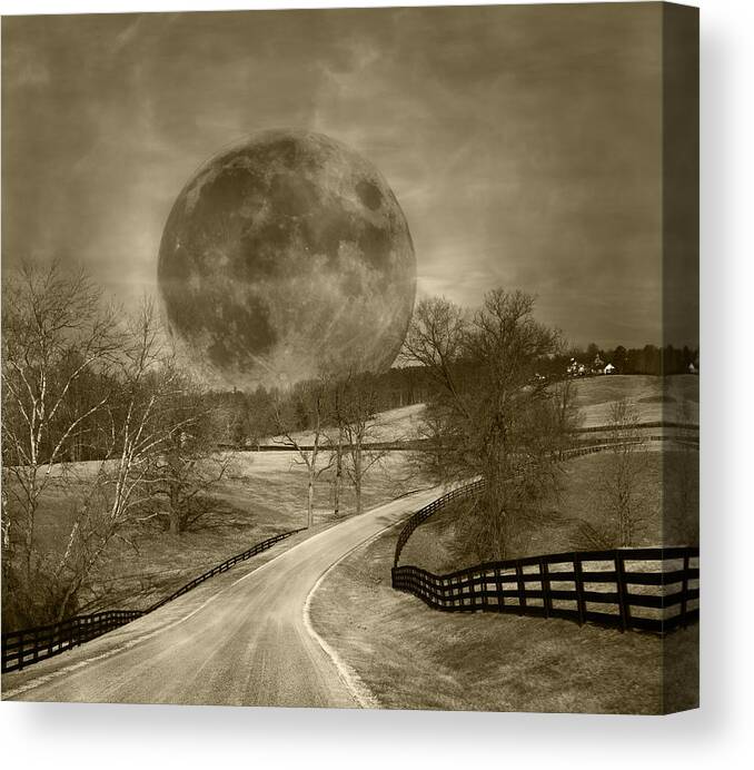Full Canvas Print featuring the photograph Light My Way #2 by Betsy Knapp