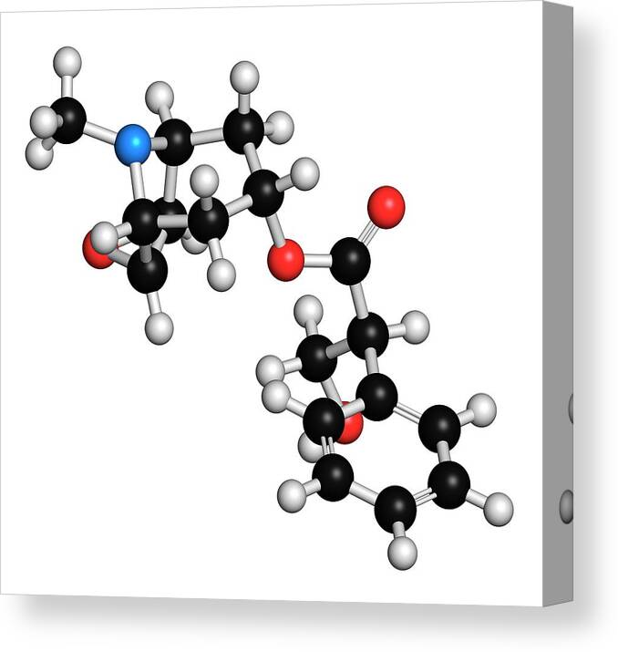 Scopolamine Canvas Print featuring the photograph Scopolamine Anticholinergic Drug Molecule #2 by Molekuul