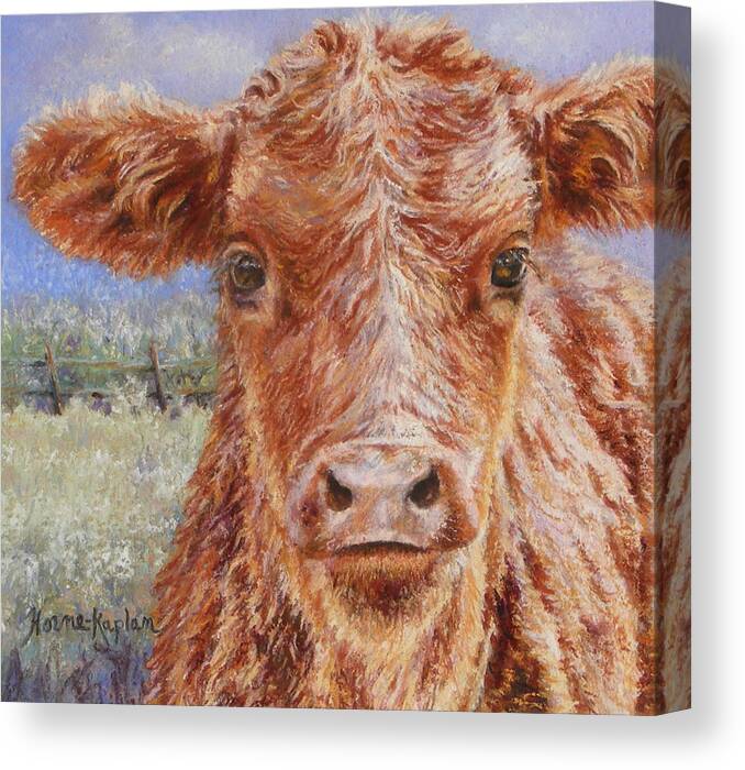 Animals Canvas Print featuring the painting Angus Calf Norman III by Denise Horne-Kaplan